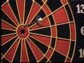 Philipines Darters - Bullshooter