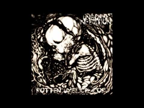 how to know if umbilical cord is infected