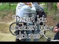 Odys i Fik - dzień jak codzień na dziurze