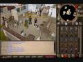 Runescape.wmv