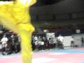 WUSHU VICTOR CHANQUAN