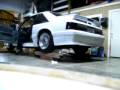 Cammed 5.0 mustang
