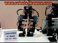 e-nuvo - The Nuvo Robot\