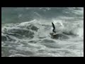 Surfing in Ericeira - Portugal