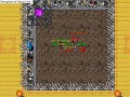 Pysche Soul does arena