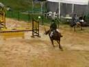 CSO Villepreux Karine