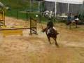 CSO Villepreux Karine