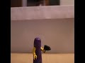my first animation my first animation