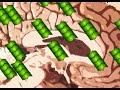 Prions-What are they