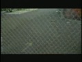 CC Brite-Summer Trailer with scenes