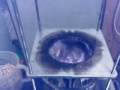 coaxial gasification vs stratified gasification