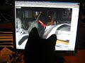corbu the cute cat part 1