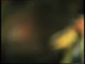 Dimi-je ajo ti