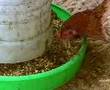 Kitchen Waste Recycling and Reuse ( 15 minute )- 01
