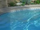 [How to] [Kimball Roundy] Spiderweb Marketing System [work at home][save gas]