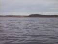 Peninsula Valdes 025.MOV