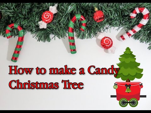 how to care for a potted xmas tree
