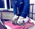begger chicken in china
