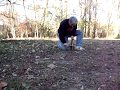How to set a mole trap
