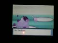 Pokemon Elite Four series 42