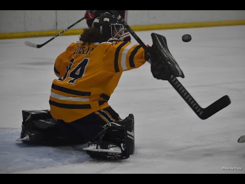 Jake Agoglia 18U NAPHL Pittsburgh Showcase Nov 2021-  Finished with a .911 sv% on 190 shots in 3+ games.