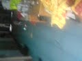 PILLA DE PERROS