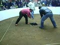 Pelea de gallos