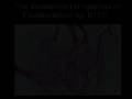 Refuting Creationist Arguments - Mutations