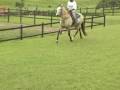 videos de Favacho Estanho
