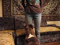 American staffordshire terrier Kameliya: cognitive skills.