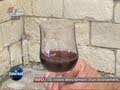 L'oenotourisme rapporte-t-il beaucoup? (Indre-et-Loire)