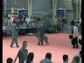 Tito
