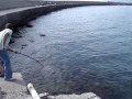 lampuga pesca salerno beachledgering surfcasting sarno lampuga pesca salerno beachledgering surfcasting sarno