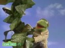 Sesame Street: Kermit Reports News On Jack & The Beanstalk