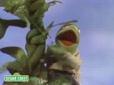 Sesame Street: Kermit Reports News On Jack & The Beanstalk
