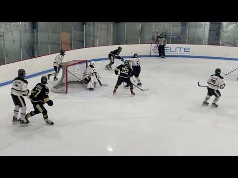 Nick Genette: Detroit Honeybaked 16u AAA vs Oakland Jr Grizzlies 16u AAA 11/30/2022