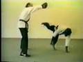 karate champ! I mean karate CHIMP ! !