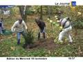 videos de Reboisement de la forêt Saint Julien les Villas