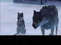 Metal Gear Solid Cutscene Re-Done: Death Of Sniper Wolf Metal Gear Solid Cutscene Re-Done: Death Of Sniper Wolf