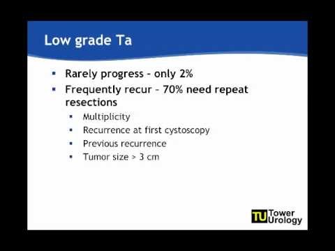 Treatment and Surveillance of Non-Muscle Invasive Bladder Cancer - Part 1
