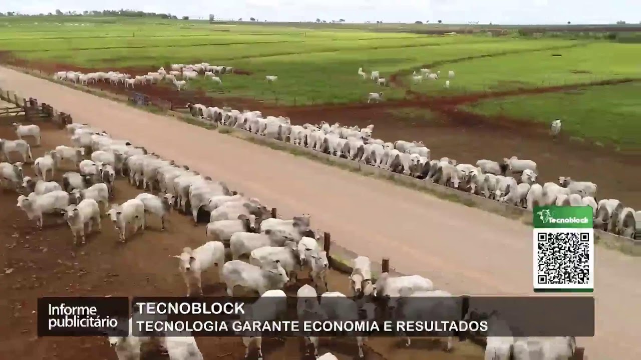 Mais Pecuária | 30/09/2024