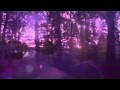 Frànçois &amp; The Atlas Mountains - Piscine - Live