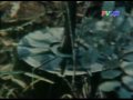 1968 Tet Mau Than - Khe Sanh (Who was defeated) - part4