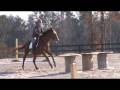 videos de Camden Oxer