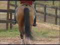 PLR Patrick LE ROLLAND - Leçon 6/6 Dressage Cheval Horse