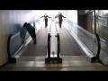 videos de Escalator girls