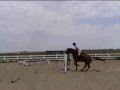 Jumping Lesson 7/14/08
