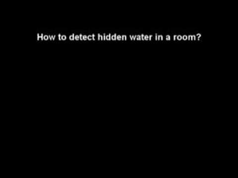 Mold problems and mold solutions.