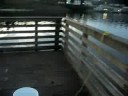 Crabbing with Crabber McBee Crabbing with Crabber McBee