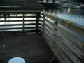 Crabbing with Crabber McBee